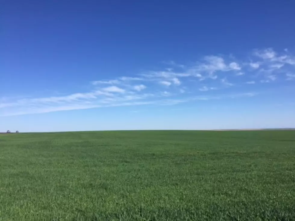 Chumrau Looks Back On Time With Idaho Wheat