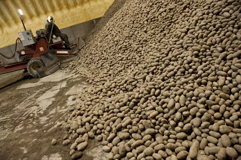 NW Potato Stocks Total 116 Million CWT February 1st