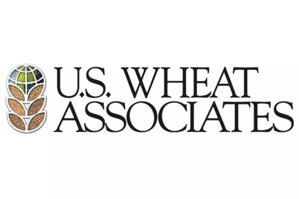 U.S. Wheat Associates Promote Miller to Director of Programs