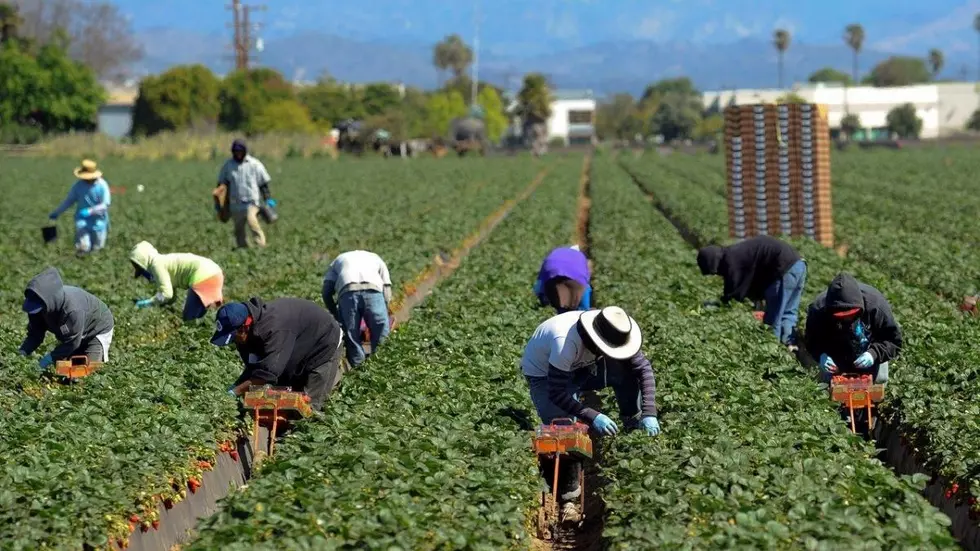 California Joins Opposition to Foreign Land Ownership 