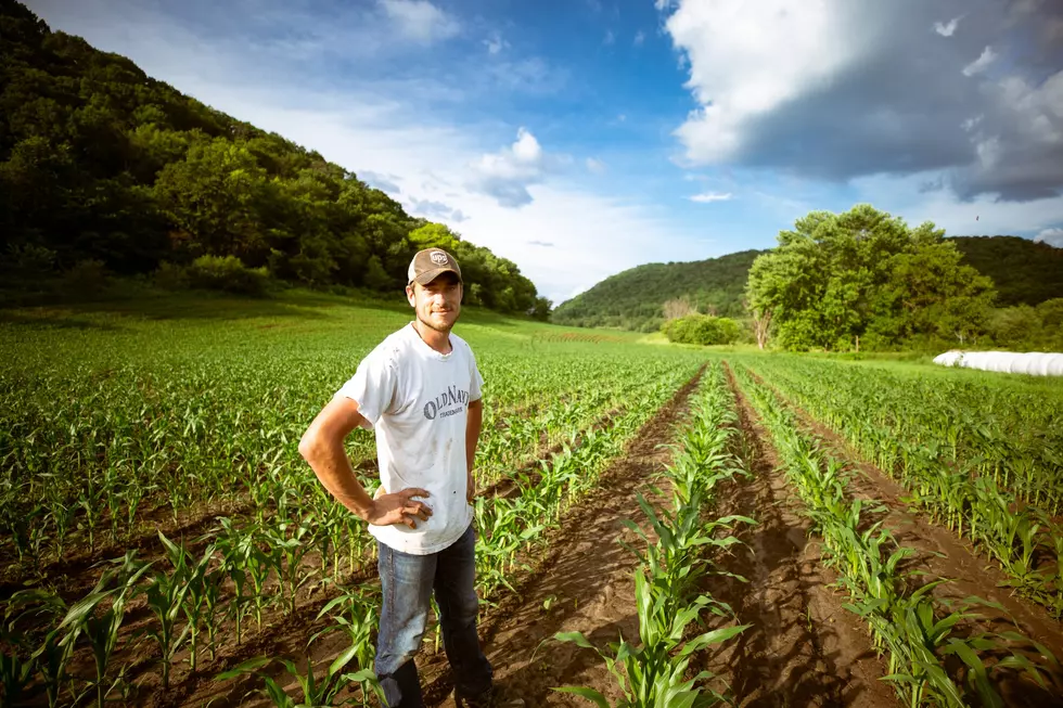 Farm Foundation Accepting Nominations for Young Agri-Food Leaders Network