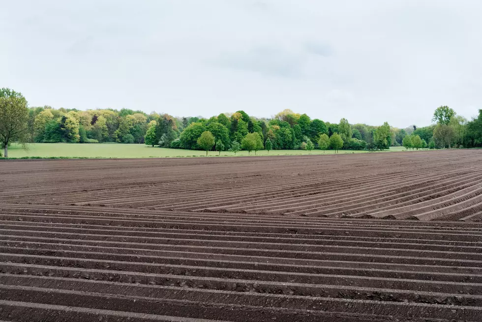 Farmers: Cover Crops Are On 40% of Cropland