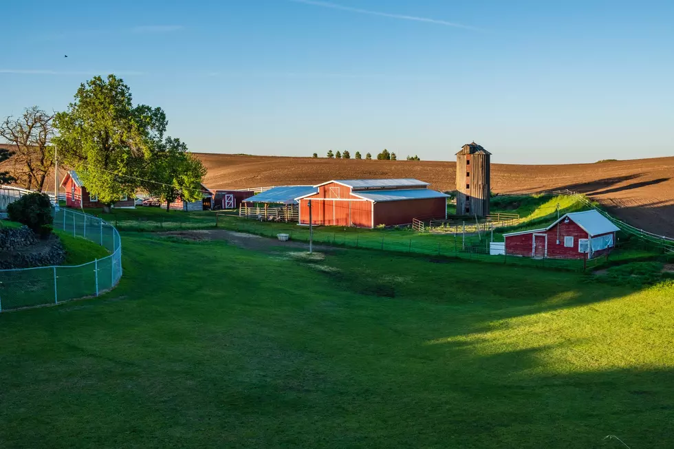 USDA Announces Micro Farm Insurance Policy