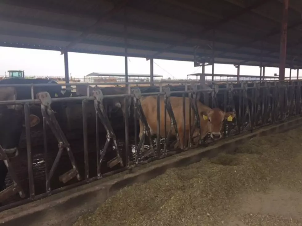 CAFO Permit Request For Boardman Dairy Continues To Move