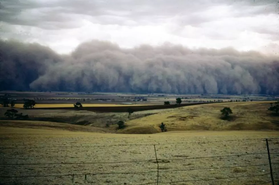 Ecology: Farmers Continue To Work To Save Soil During Dust Storms