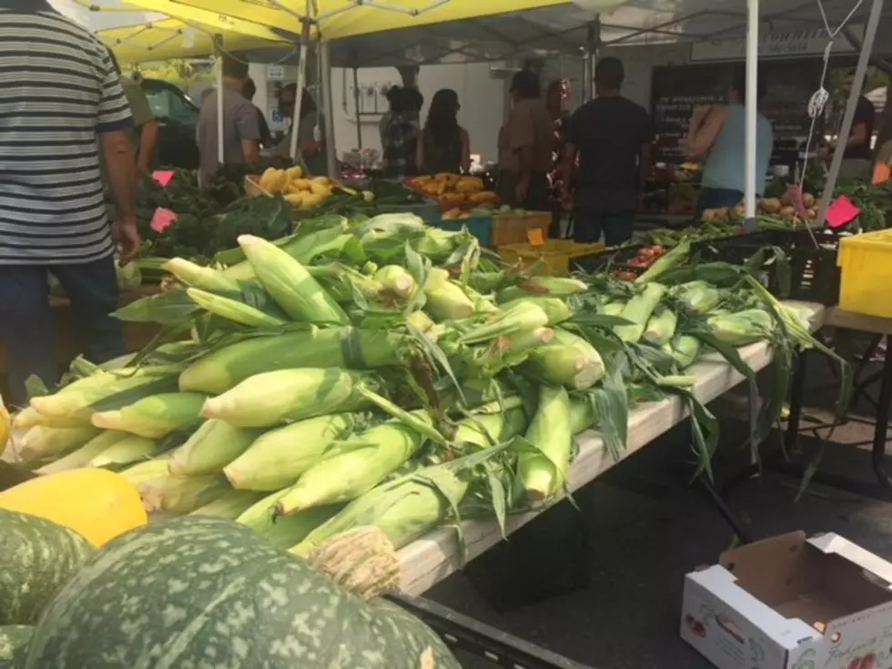 Farmers Market Minute: Clarkston Closer To “Normal” As COVID-19 Numbers Improve