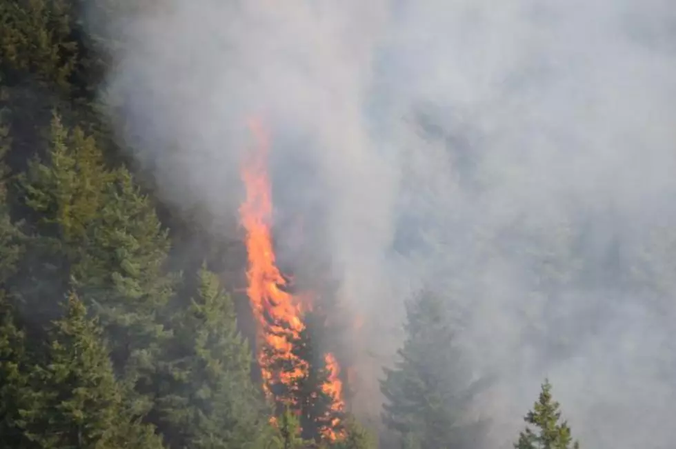 Schrier Throws Support Behind Wildfire Response Legislation
