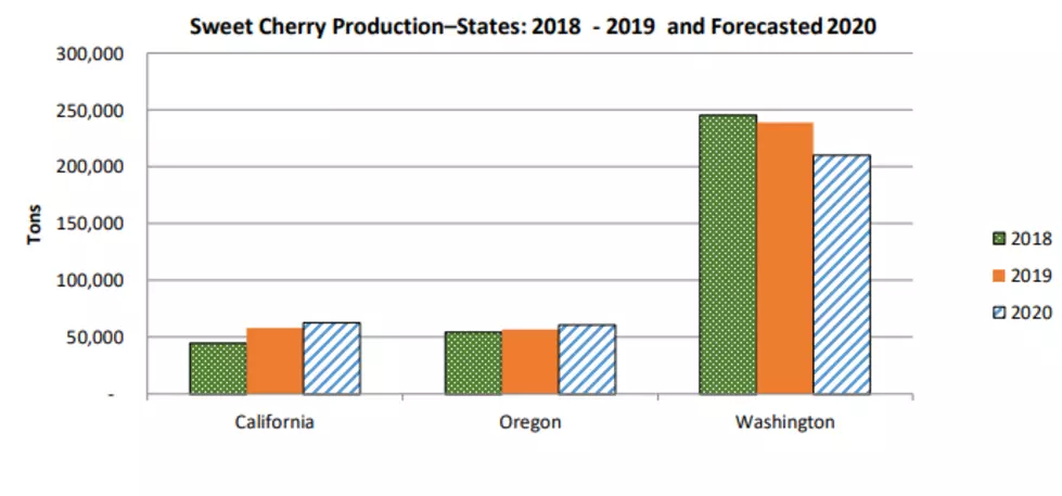 U.S. Sweet Cherry Production Down 6%