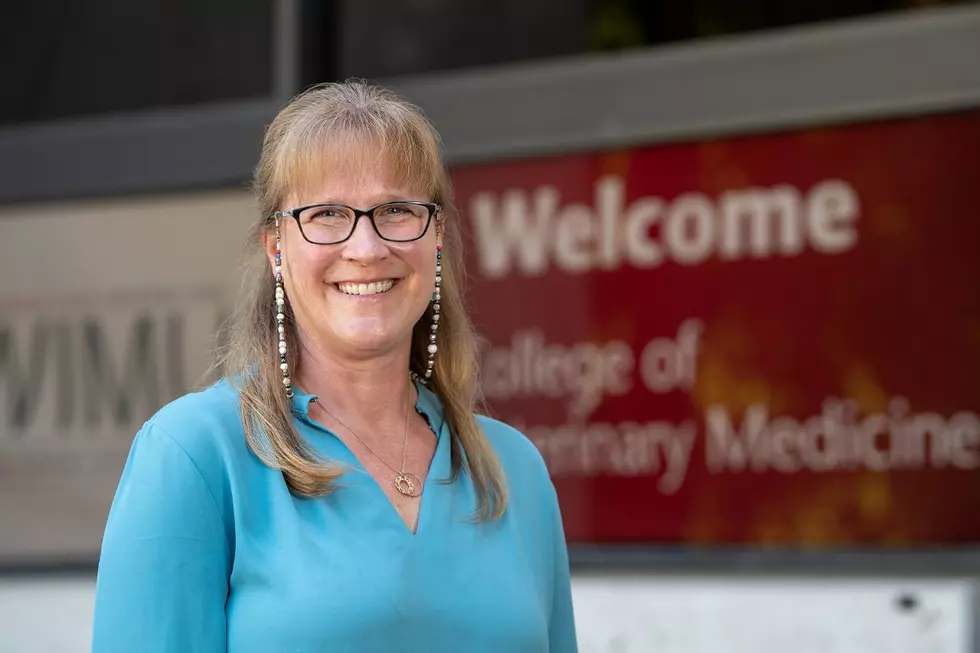 Borjesson Becomes First Female Head Of WSUs Vet College