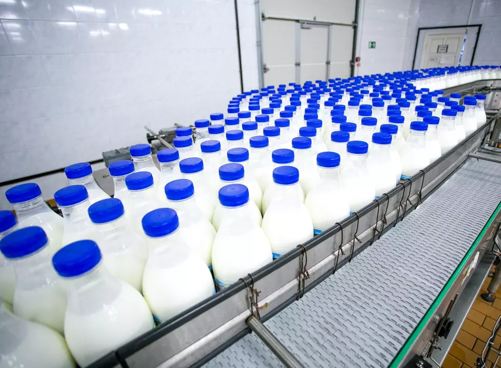 Milk Production Expected To Dip, USDA Says