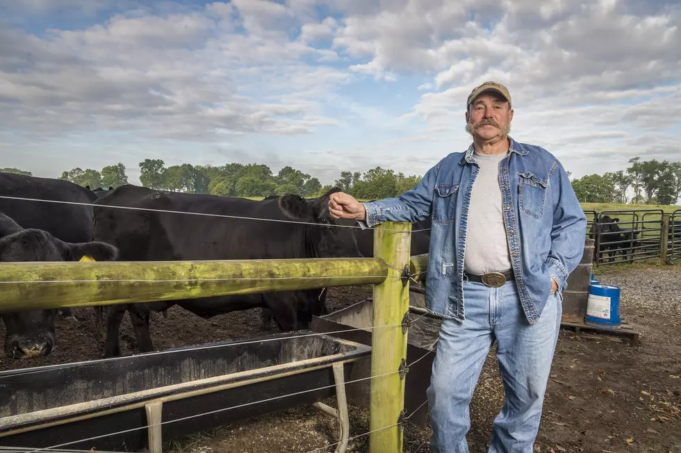 Retiring Farmers Looking At Auction More And More