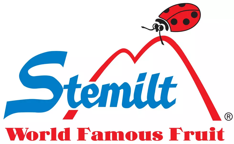 Wulf Named New Stemilt CFO