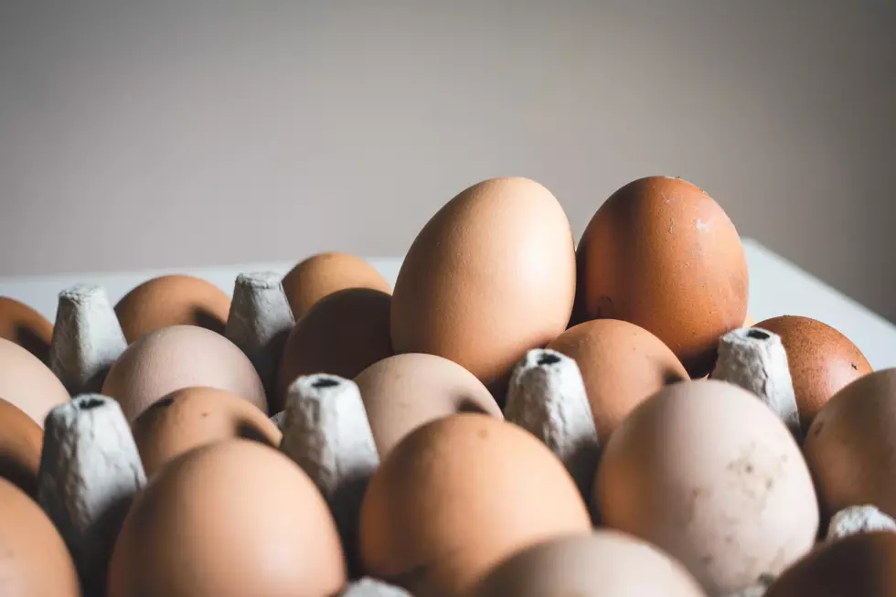 USDA: Egg Prices Remain High