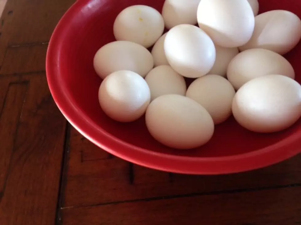 U.S. Egg Production Down 5% in November
