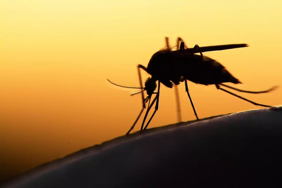 Two Human Cases Of West Nile Reported In Central Washington