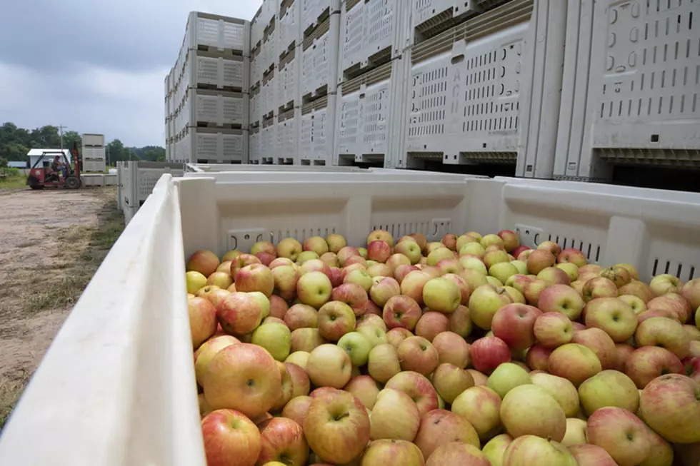 Washington Apples Coming in Hot