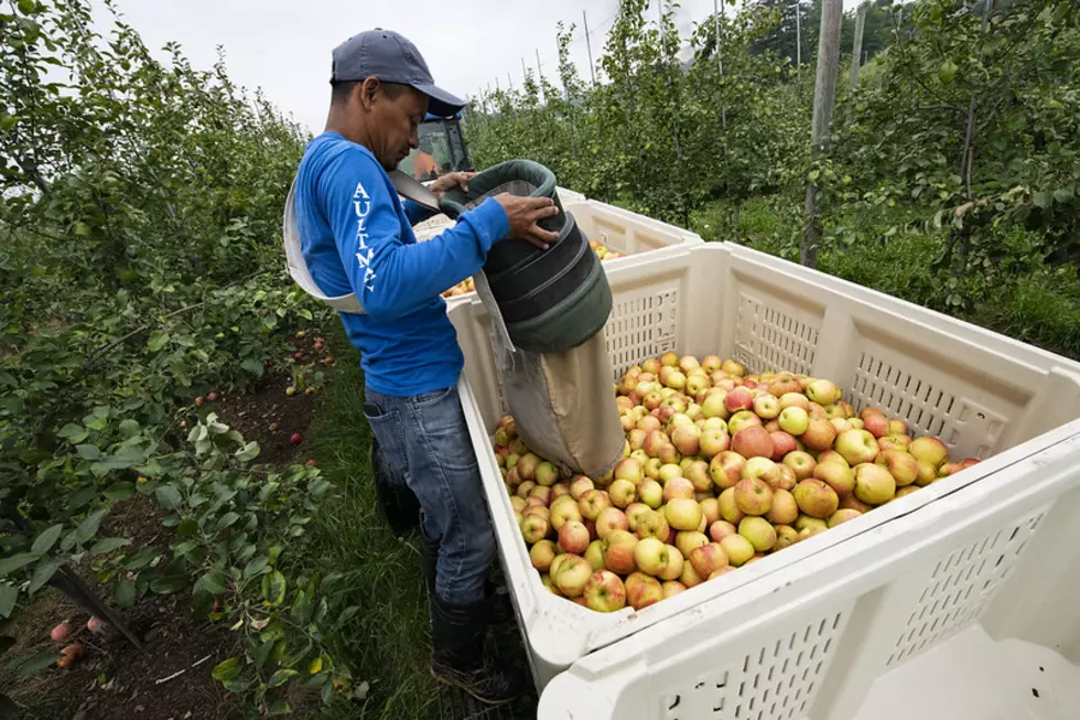 American Fruit Grower’s Survey Shows Serious Labor Concerns