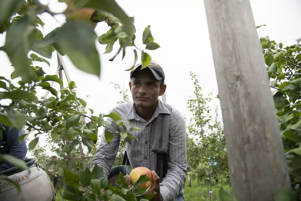 OFB: Overtime Changes Would Be Detrimental To Oregon’s Farming Community