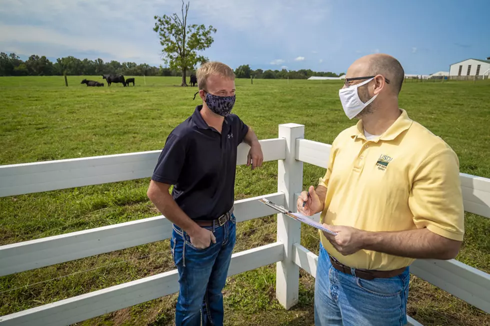 USDA Extends Deadline to Apply for Pandemic Assistance to Livestock Producers