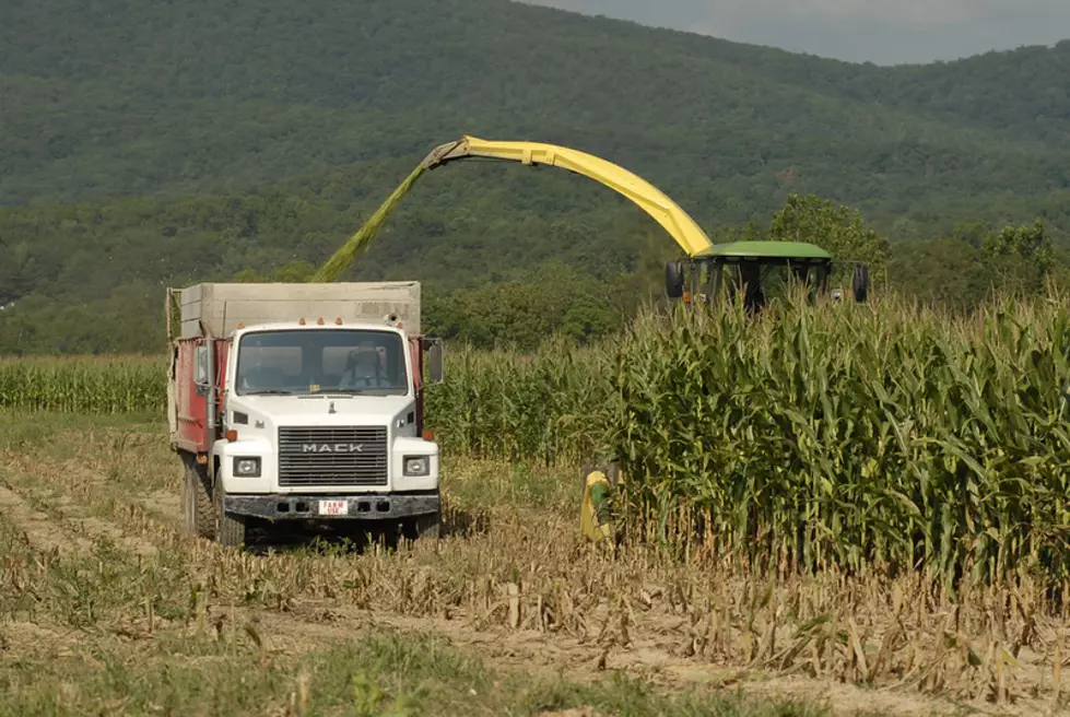 Ethanol Output Jumps to Highest Level in a Month 