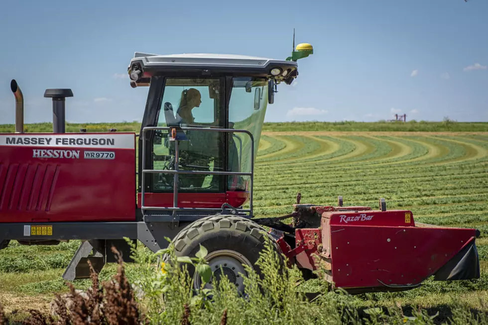 Despite Challenges, 2020 Hay Crop Looks Good