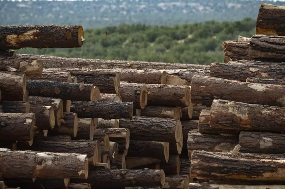 Kamiah Lumber Company Honored By Senator Jim Risch