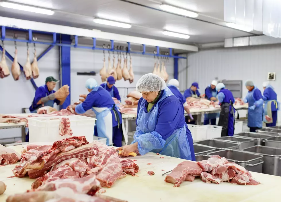 Meat Plants Employed Nearly 31% of US Food Workers in 2021