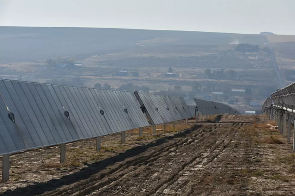 Impact Solar Farms Are Having On Ag Community