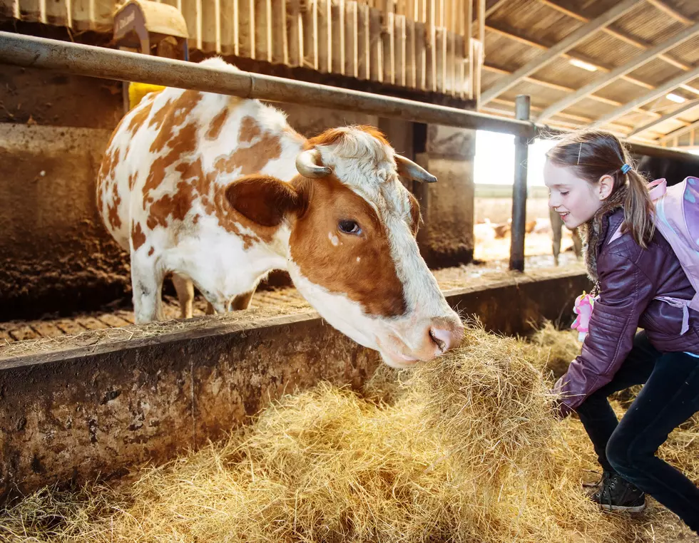 2021 MILK Business Conference to Gather Dairy Industry Leaders in Las Vegas