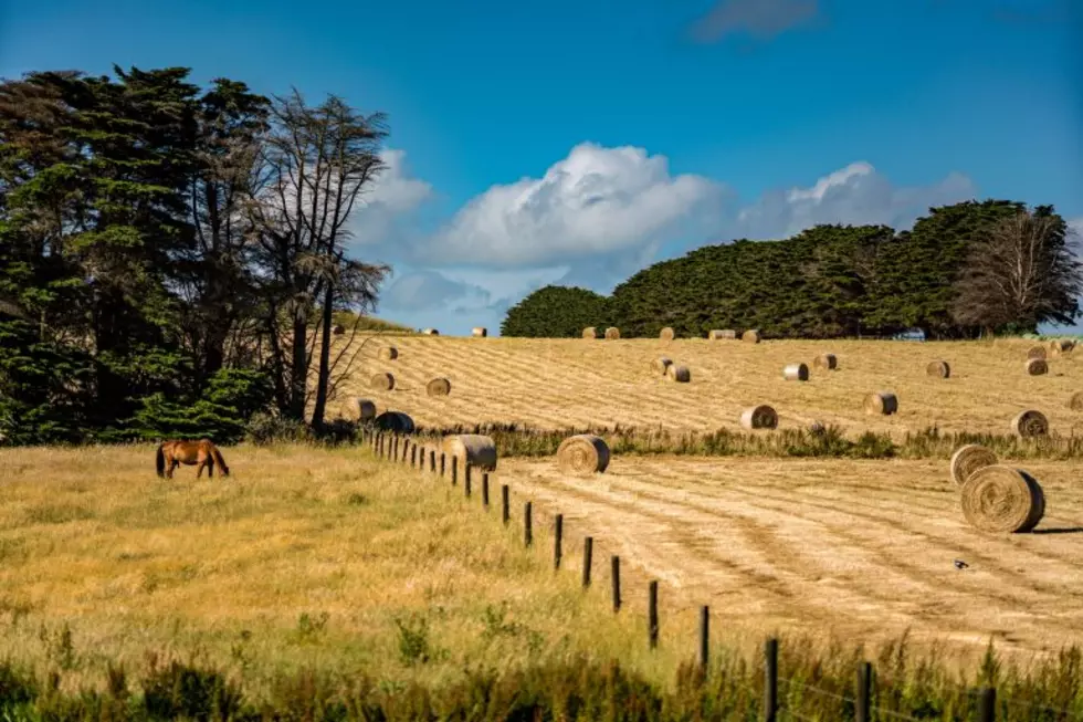 USDA Investing In Oregon Agricultural Producers