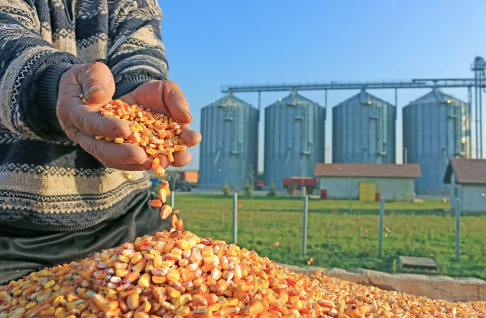 Grain Prices Should Improve in 2021