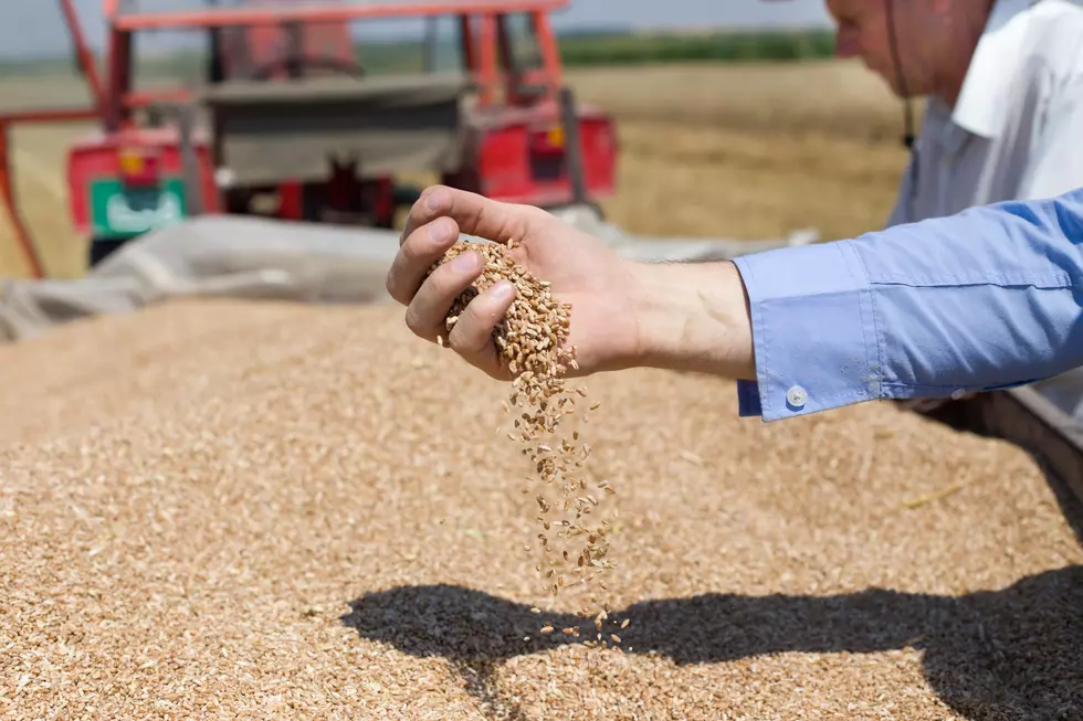 Grain Exports Keeping Pace with Prior Marketing Year