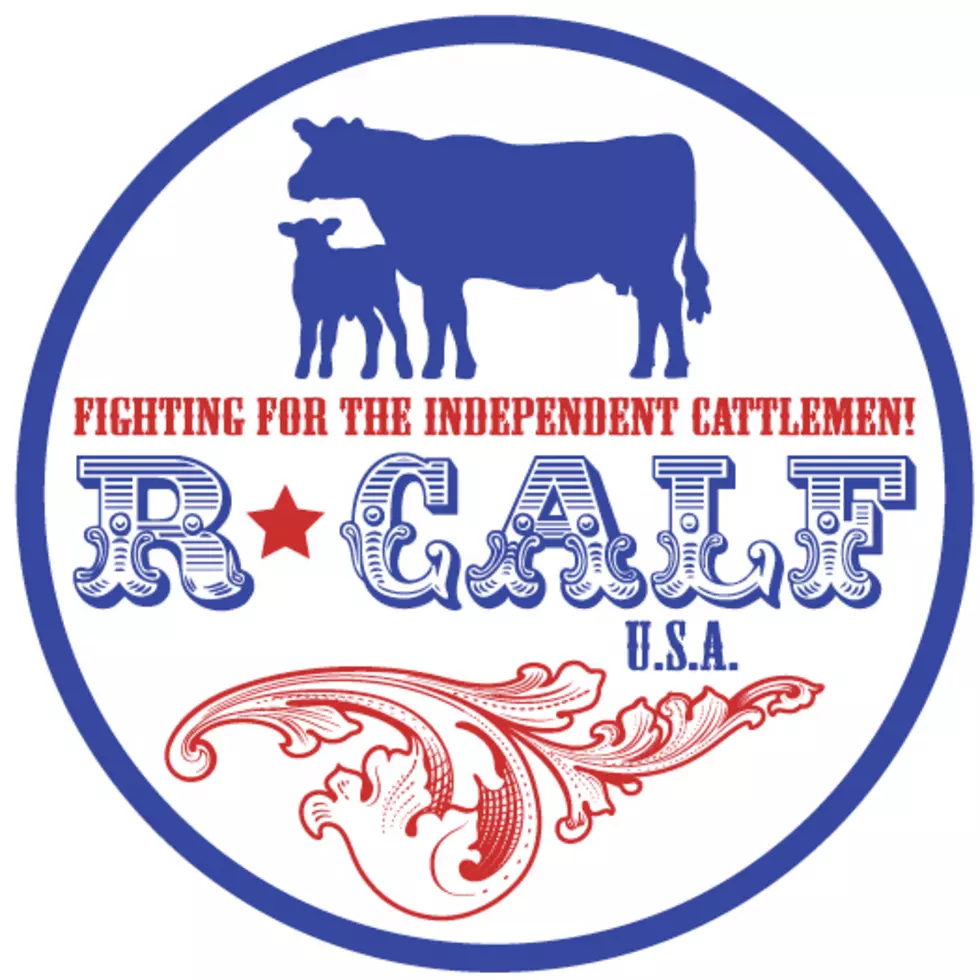 R-CALF Only National Cattle Organization Opposed to RFID Tags