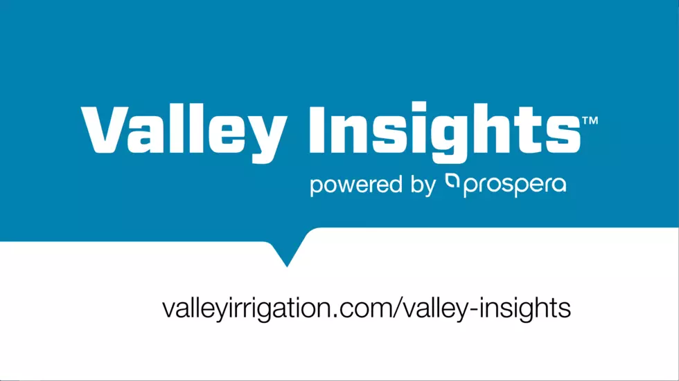 Valley Insights: Success in the Northwest