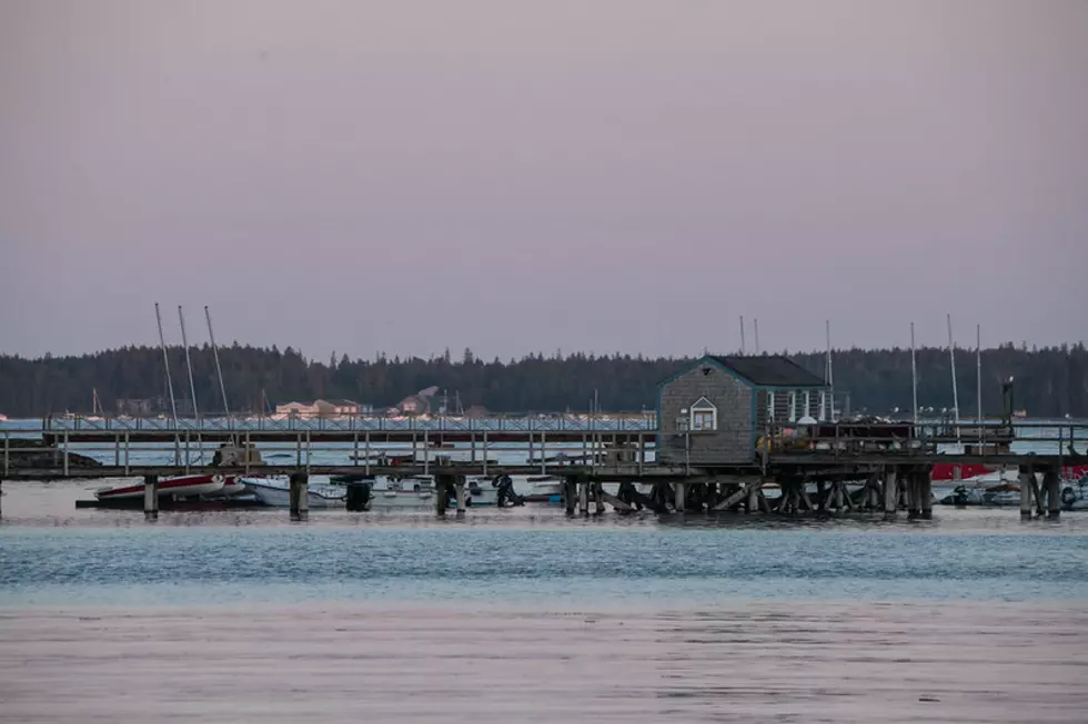 Razor Clam Harvesting Closed In Southern Oregon