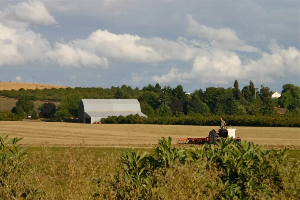 Interest and Drought Pressuring Still Strong Farm Economy