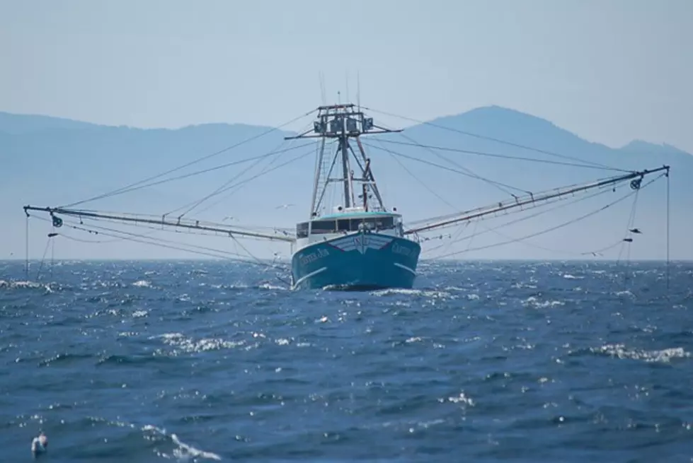 Northwest Shellfish Growers Disaster Assistance Available