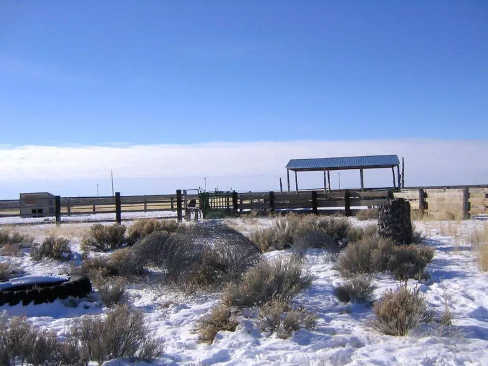 NOAA Winter Weather Outlook Shows More Drought Ahead