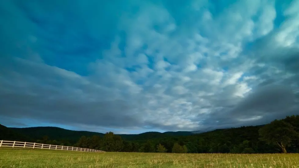 USDA’s Outlook Forum Looks To Cover A Variety Of Topics This Year