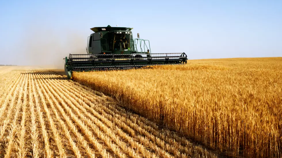 Dry Conditions Across The Southern Plains Hurting The Nation’s Wheat Crop
