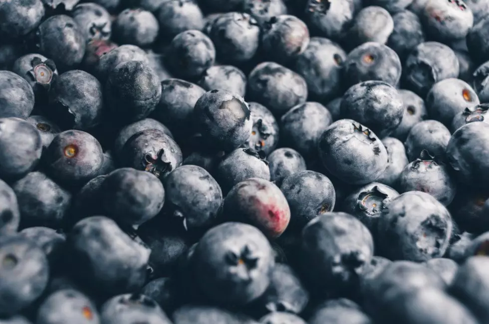 Blueberry Season Starting To Wrap Up Across The PNW