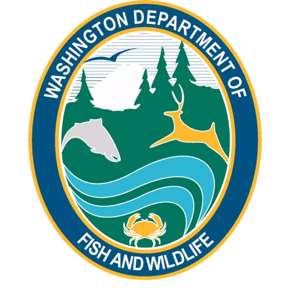 Washington Razor Clam Digs To Start Sunday