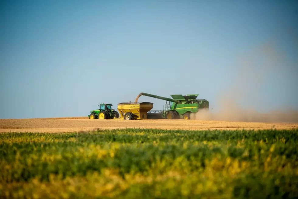 Idaho Wheat Farmers Facing A Mixed Bag This Season