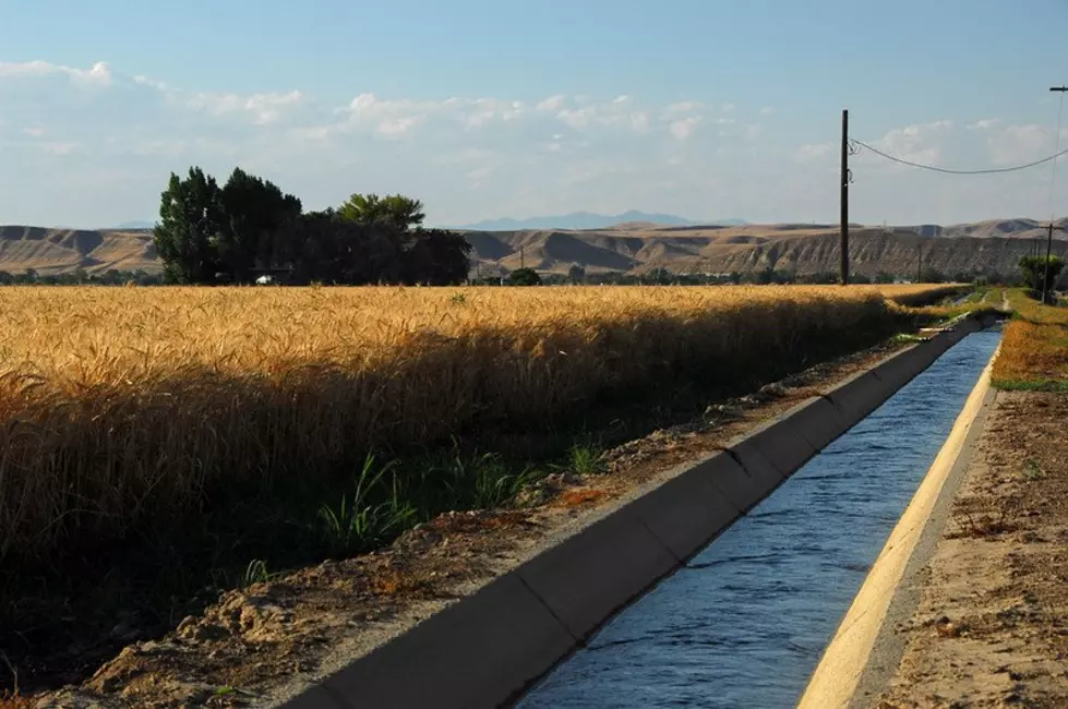 Groundwater Management Ag Creating Problems For California Growers