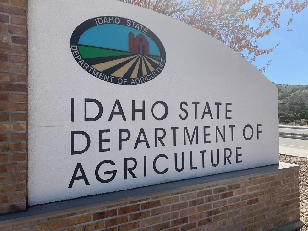Traceability A Priority For New Idaho State Vet