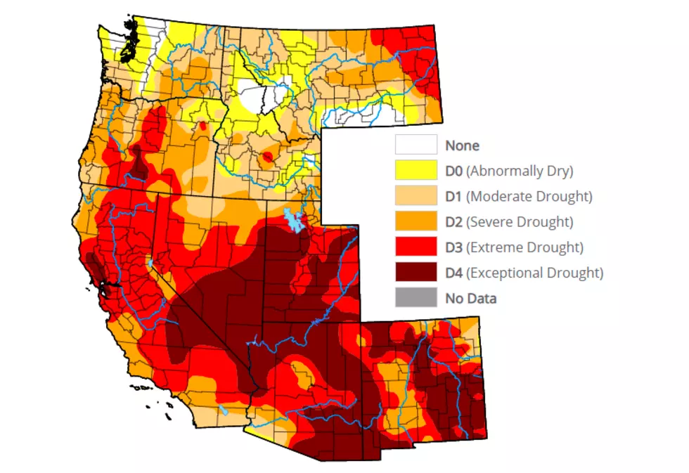 AFBF: Drought Highlights The Importance Of Improving Water Infrastructure