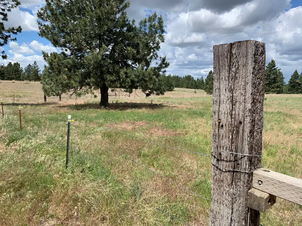 USDA Announces Dates for Conservation Reserve Program Grasslands Signups