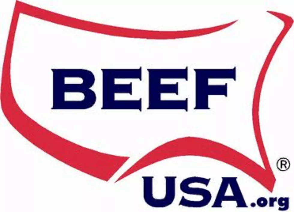 Young Cattle Producers Needed for 2022 Convention Internships