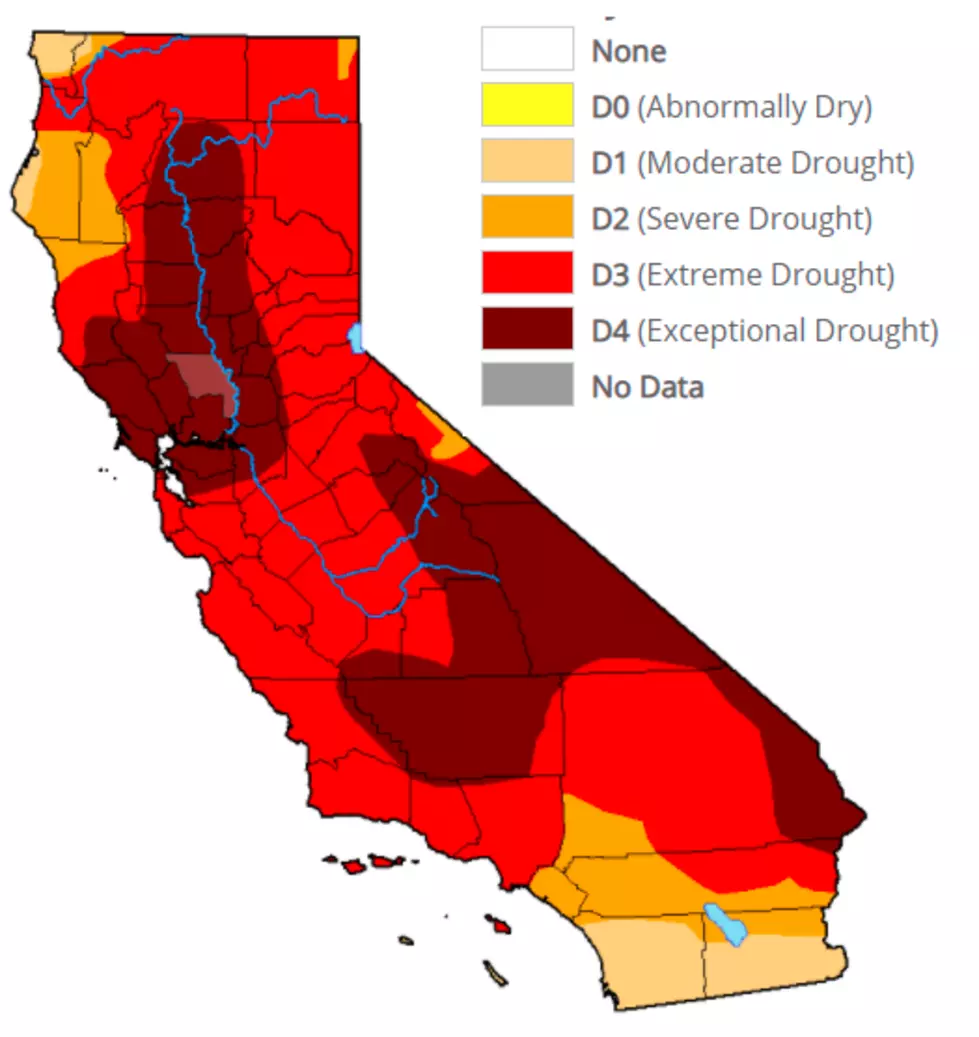 Western Growers Shares Stories Of How Drought Is Impacting California Producers
