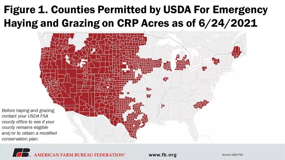 Over 1,000 Counties Approved for Emergency Haying and Grazing on CRP Acres